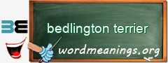 WordMeaning blackboard for bedlington terrier